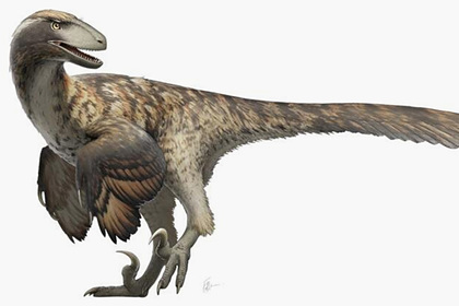 Опровергнут популярный миф о динозаврах