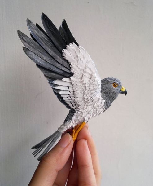 Индийская художница создаёт реалистичные бумажные скульптуры птиц (12 фото)
