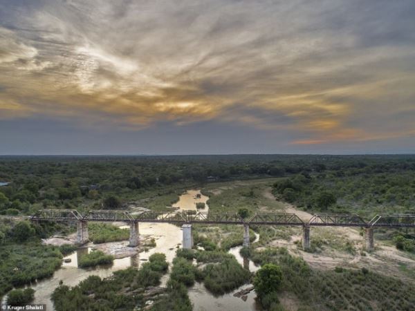 Крюгер Шалати: поезд-отель на мосту над рекой в Африке (9 фото)