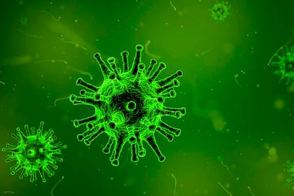 Найдено эффективное лекарство от коронавируса