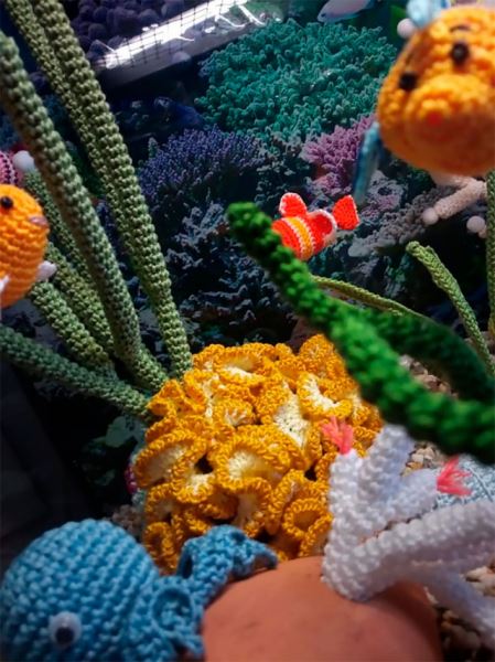Навязала. Красочный аквариум от любительницы вязания (7 фото)